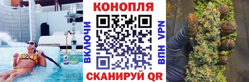 МАРИХУАНА план  продажа наркотиков  Сурск 